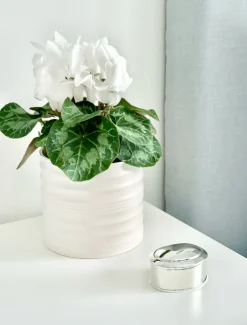 Silver Plated Oval Box