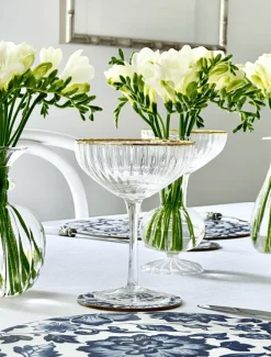 Soiree Crystal Coupes Clear (Set of 2)