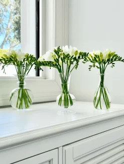 Soiree Trio of Vases Clear