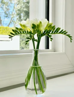 Soiree Trio of Vases Clear