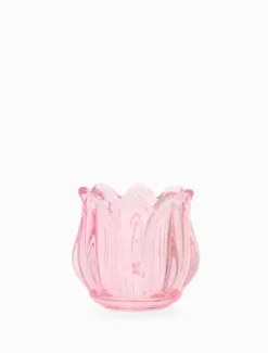 Tulip Votive Rose