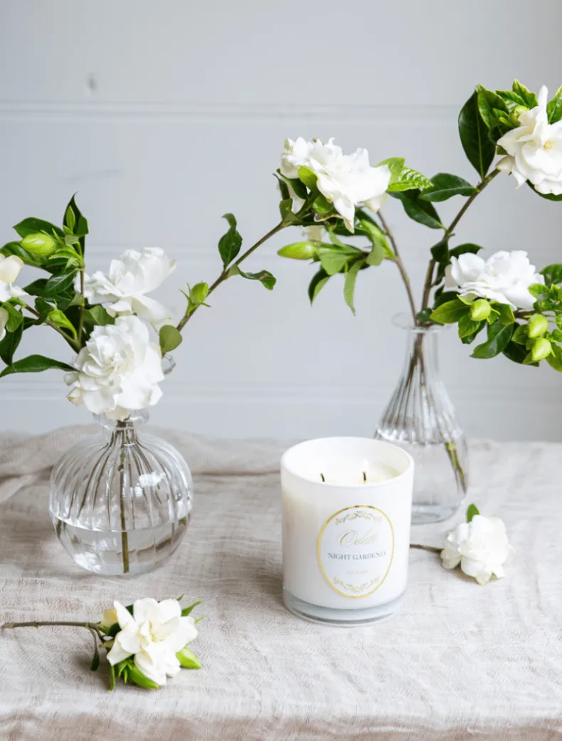 Zjoosh Candle Odette Night Gardenia